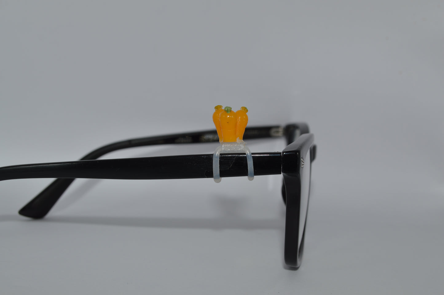 Carrots Eyedeco Charm