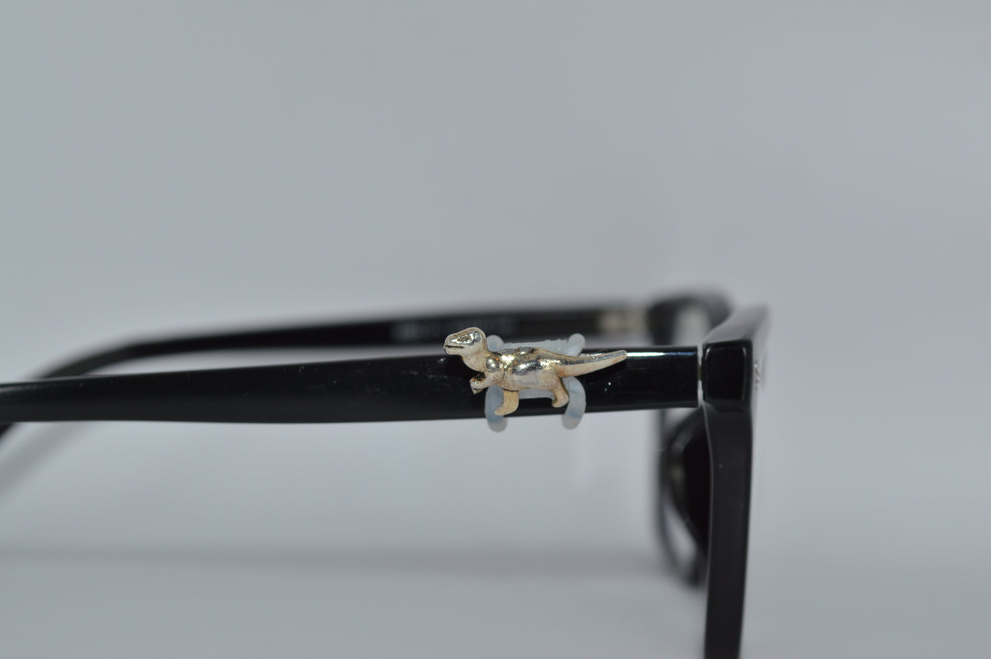 T-Rex Eyedeco Charm