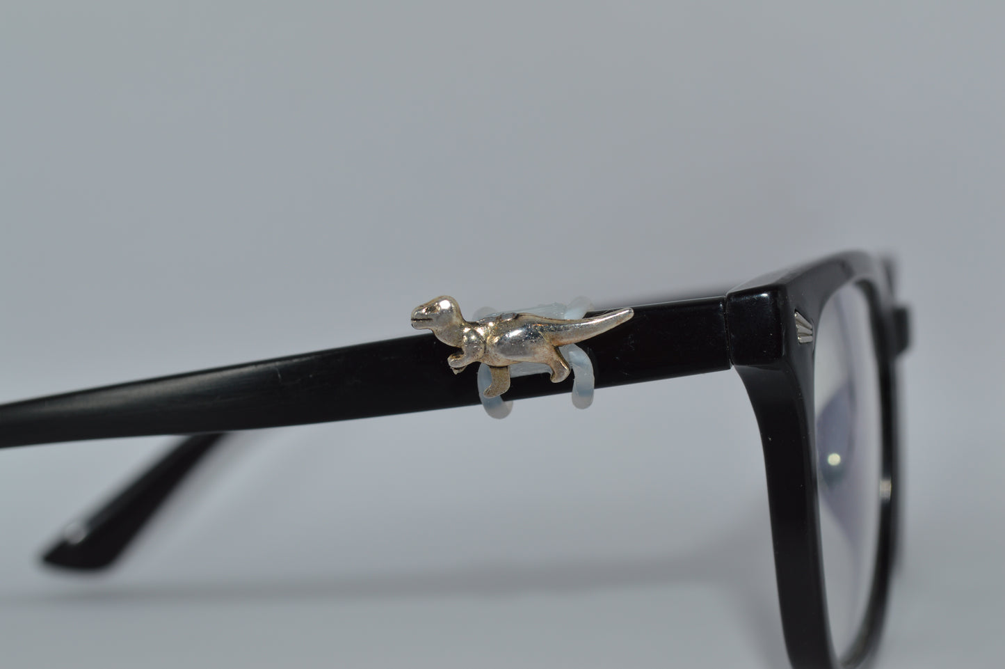 T-Rex Eyedeco Charm