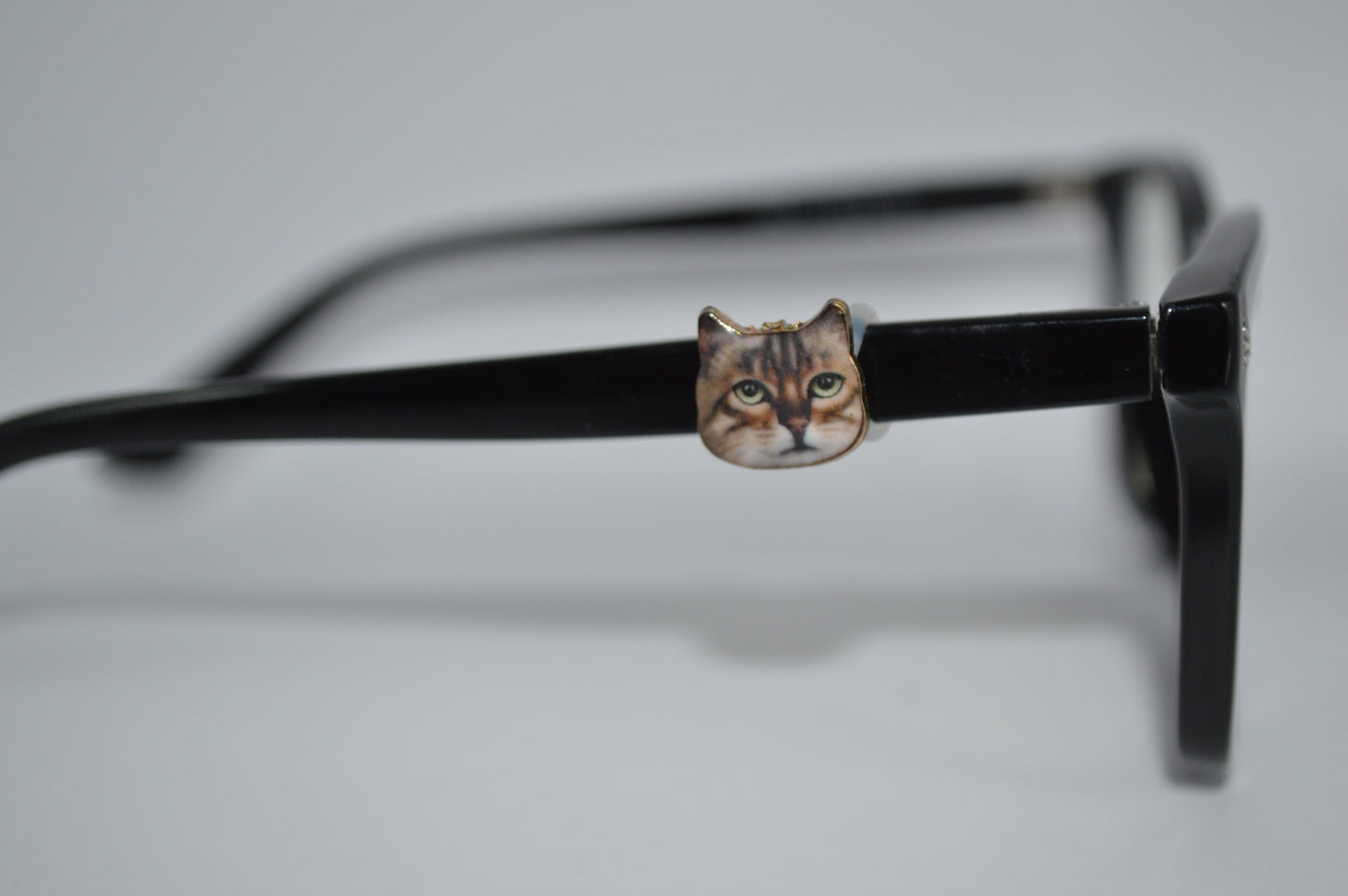 Realistic Cat Face Eyedeco Charm A1-A4