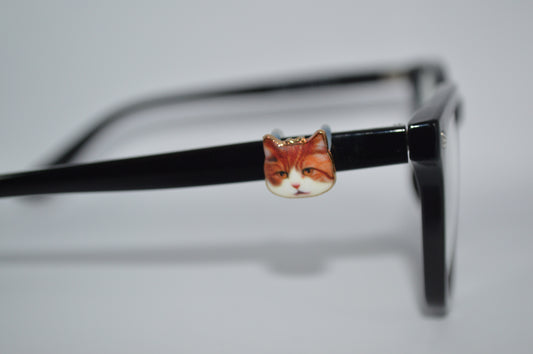 Realistic Cat Face Eyedeco Charm                                   A1-A4
