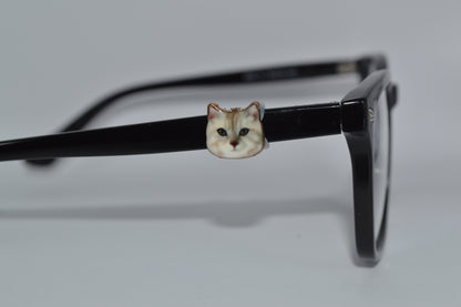 Cat Faces  Eyedeco Charm                                              A1-A4