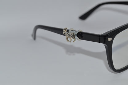 Goa Eyedecot Charm